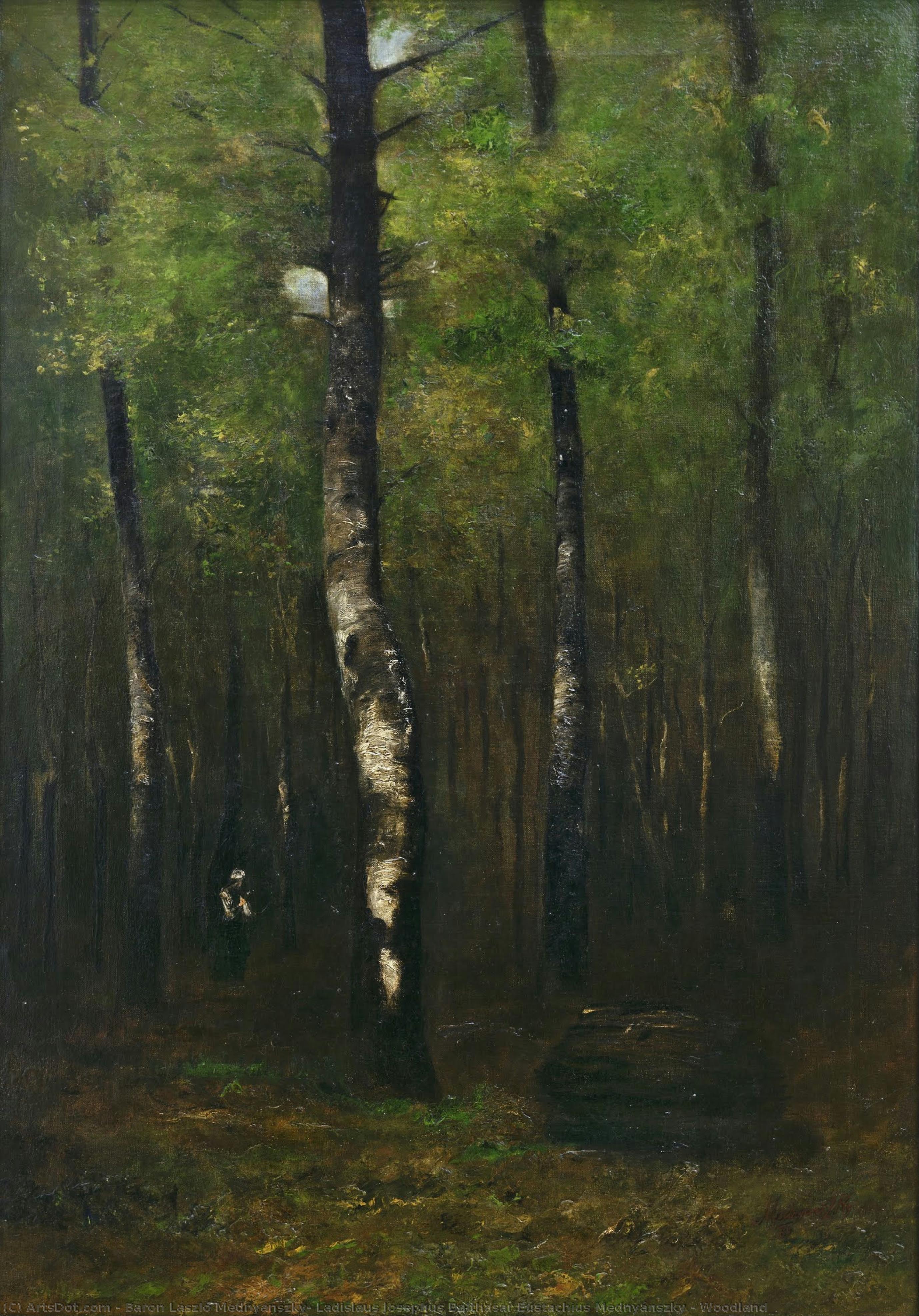 Woodland — Baron László Mednyánszky, Ladislaus Josephus Balthasar Eustachius Mednyánszky