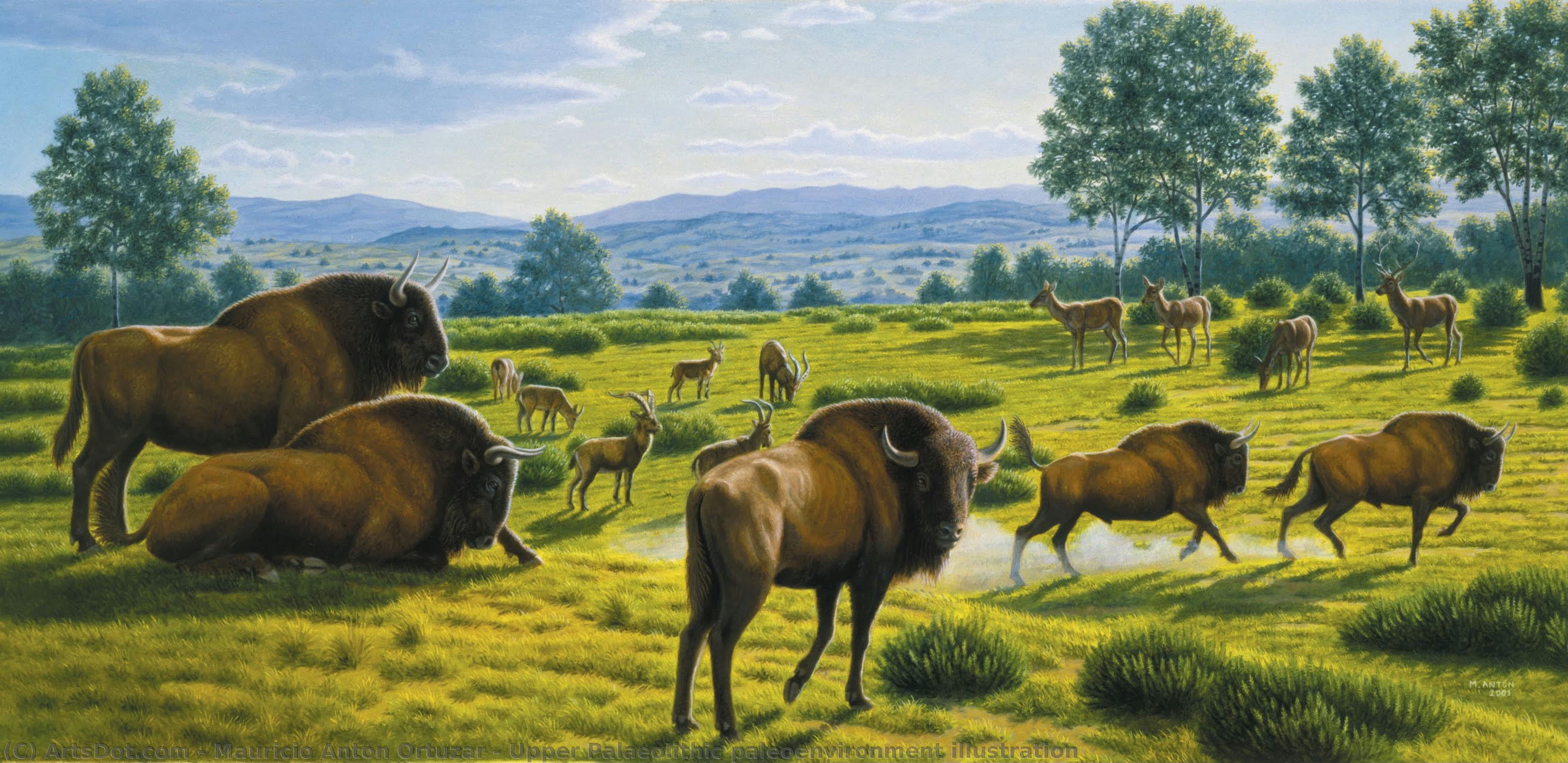 Upper Palaeolithic Paleoenvironment Illustration — Mauricio Antón Ortúzar