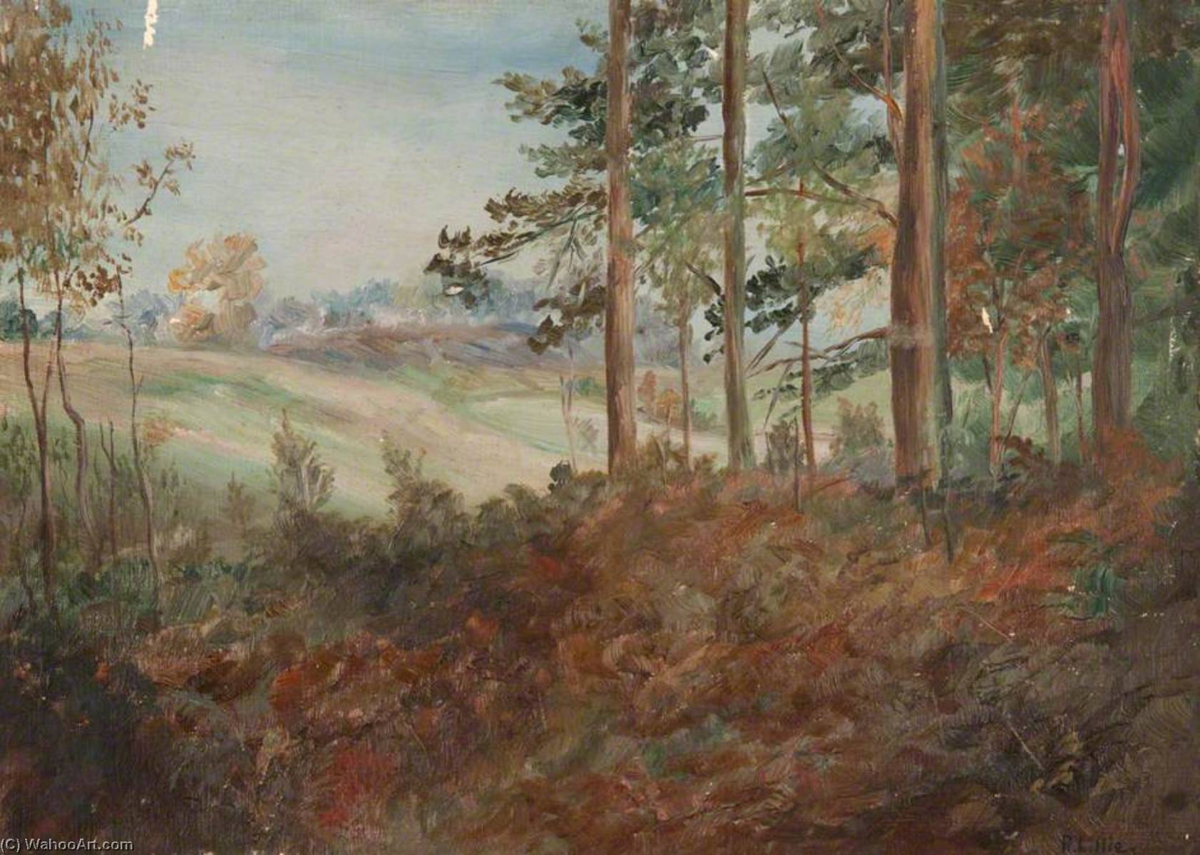 In A Wood, Bankell Farm, Milngavie — Robert Lillie