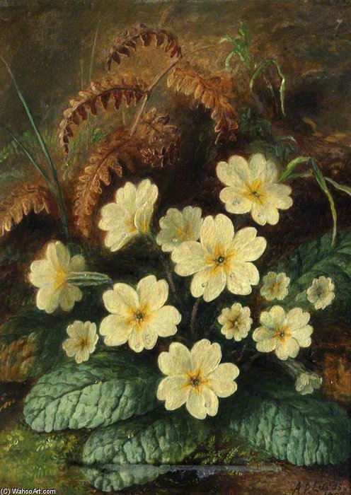 Primroses — Albrecht Dürer