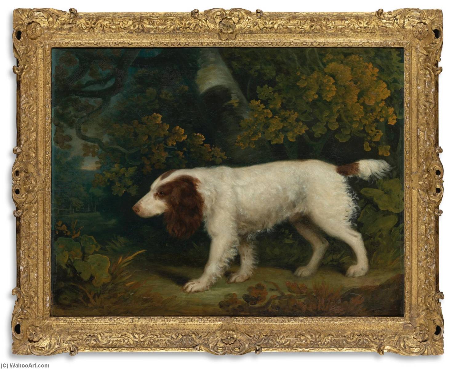 A Spaniel In A Landscape — ソーリー・ギルピン