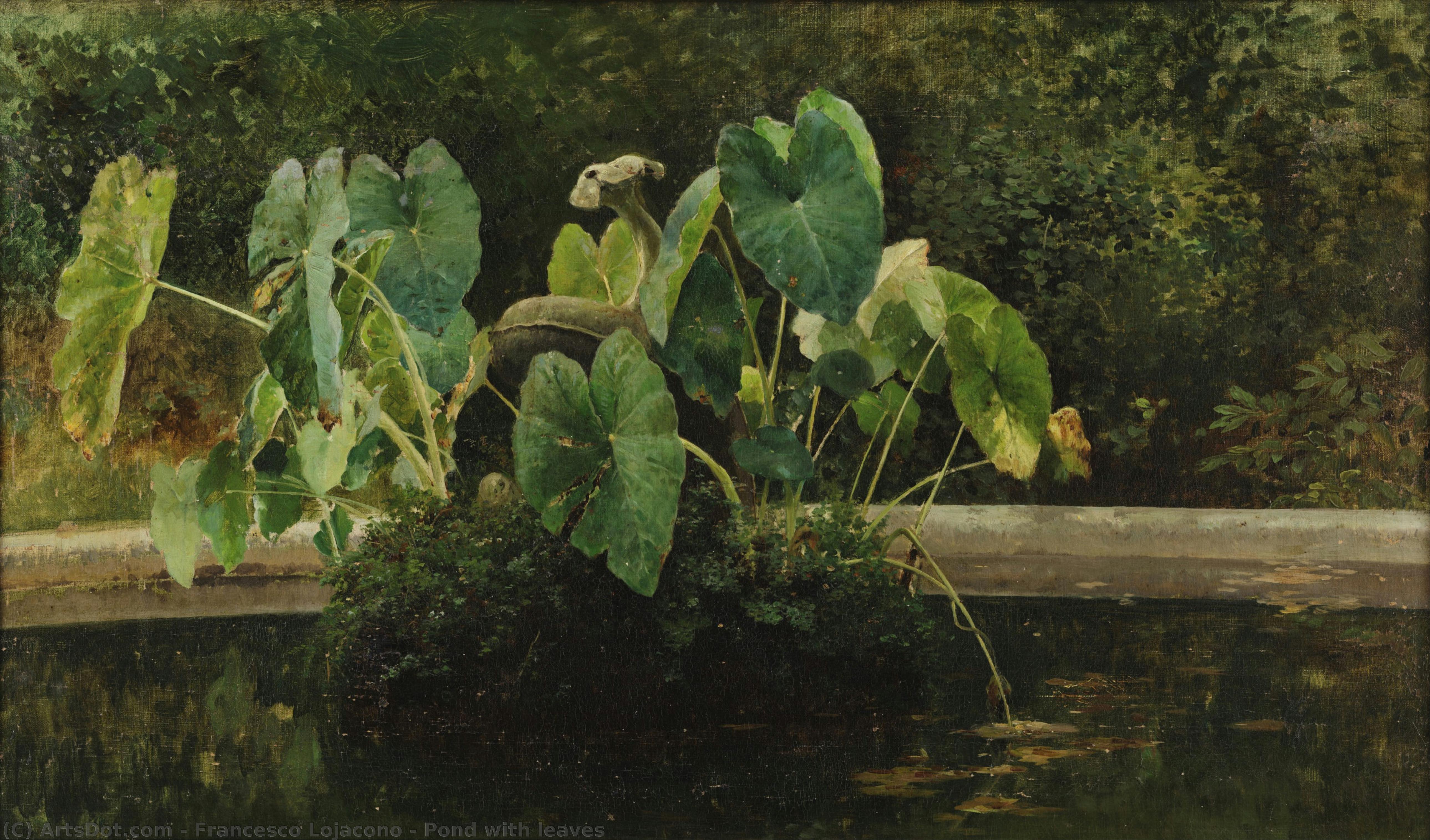 Pond With Leaves — Francesco Lojacono