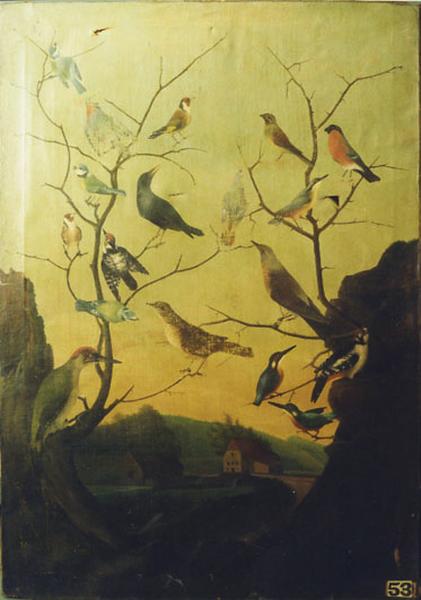 Paysage Avec Oiseaux Posés Sur Les Branches D'un Arbre — Babey Théodore