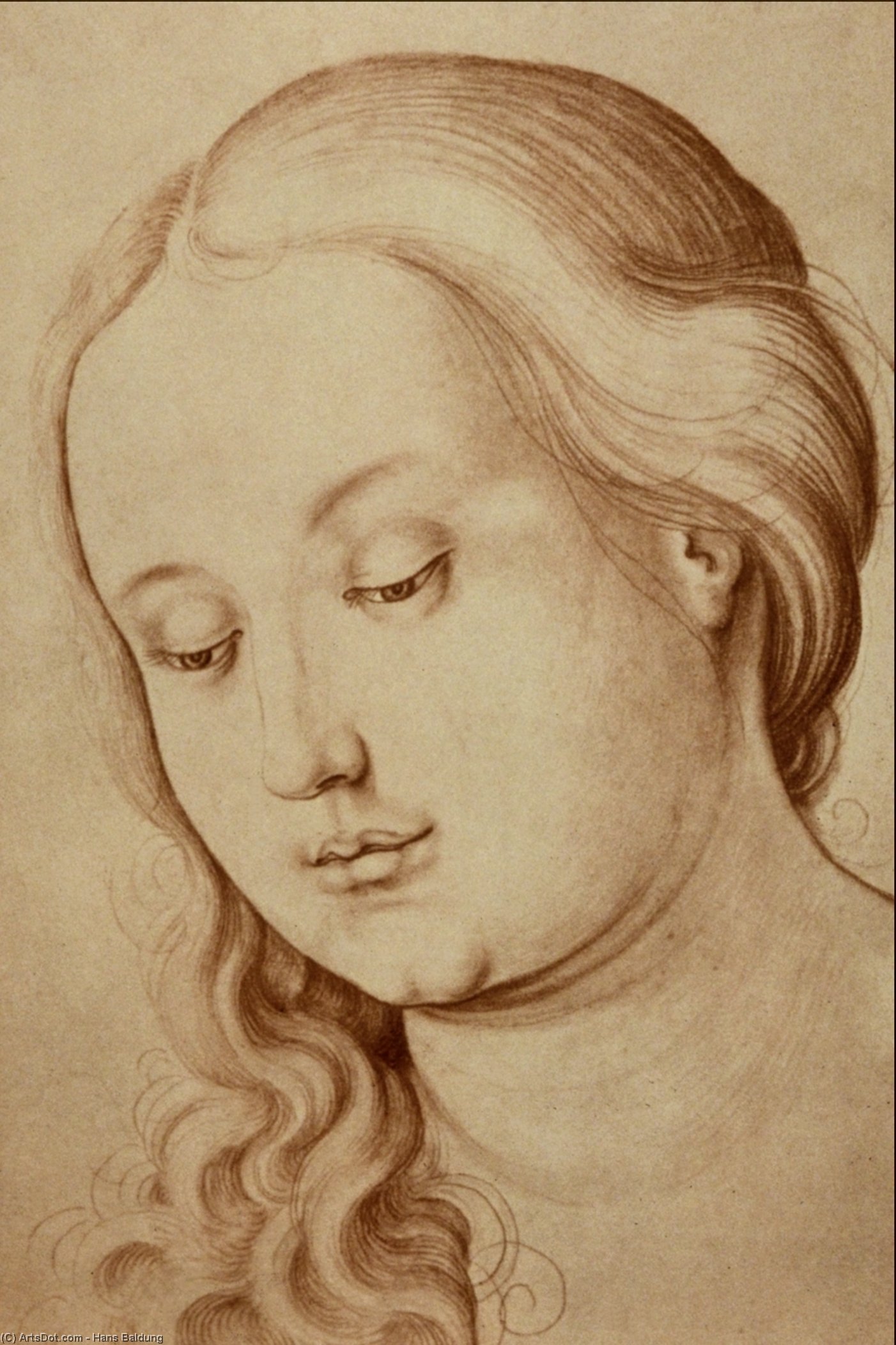 Portrait Of A Young Girl — Hans Baldung