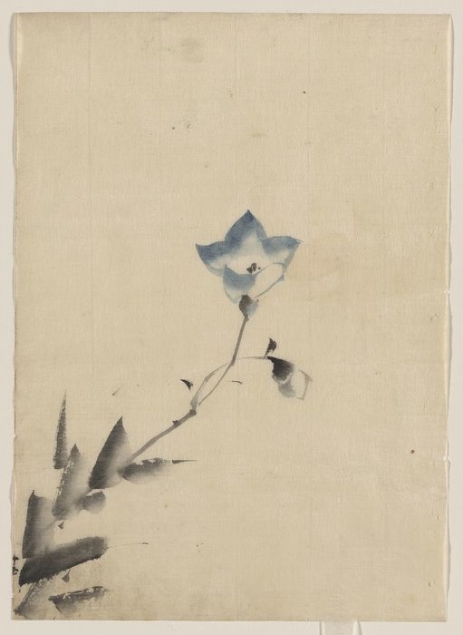 青い花弁の穂先 — 葛飾北斎 (katsushika Hokusai)