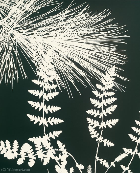 Untitled From Black Dahlias — Paul Morrison
