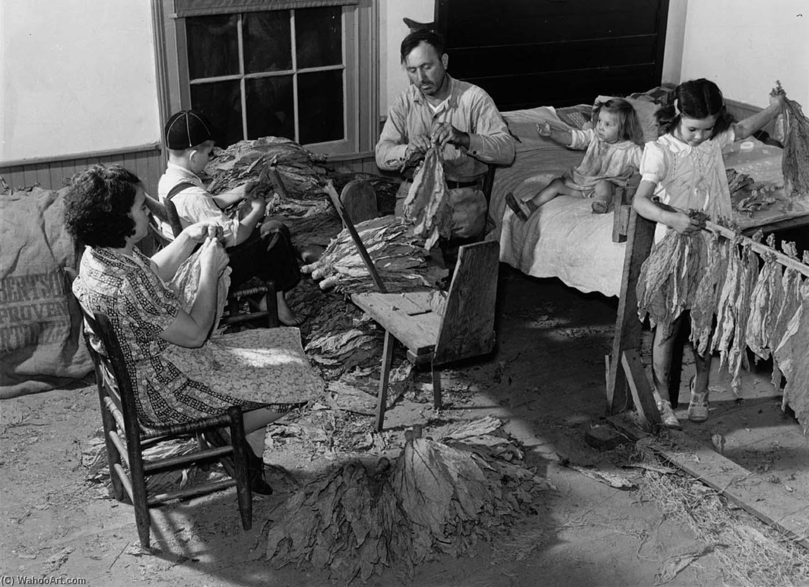 The Titus Oakley Family Stripping, Tying, And Grading Tobacco In Their Bedroom. Granville, County, North Carolina — Marion Post Wolcott