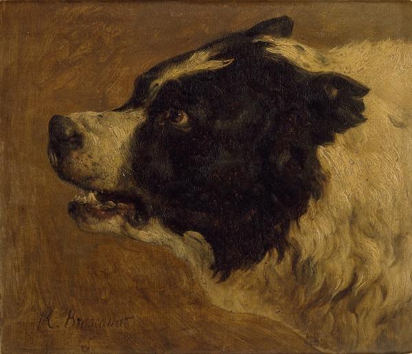 Tête De Chien — Jacques Raymond Brascassat