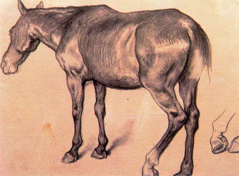 Study Of A Horse — José Jiménez Aranda