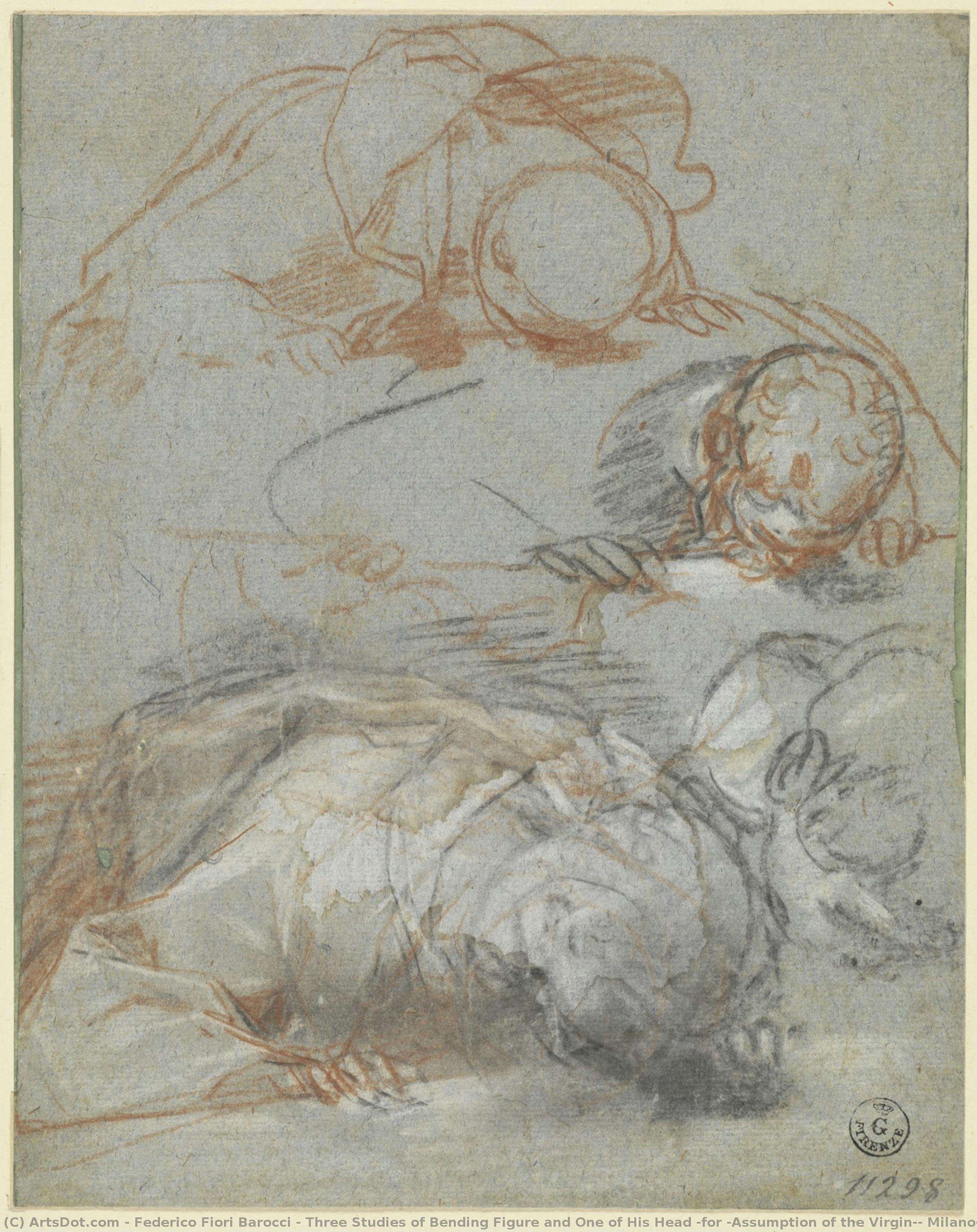 Three Studies Of Bending Figure And One Of His Head (for “assumption Of The Virgin”, Milano, Collezione Castelbarco Albani) — Федерико Бароћи
