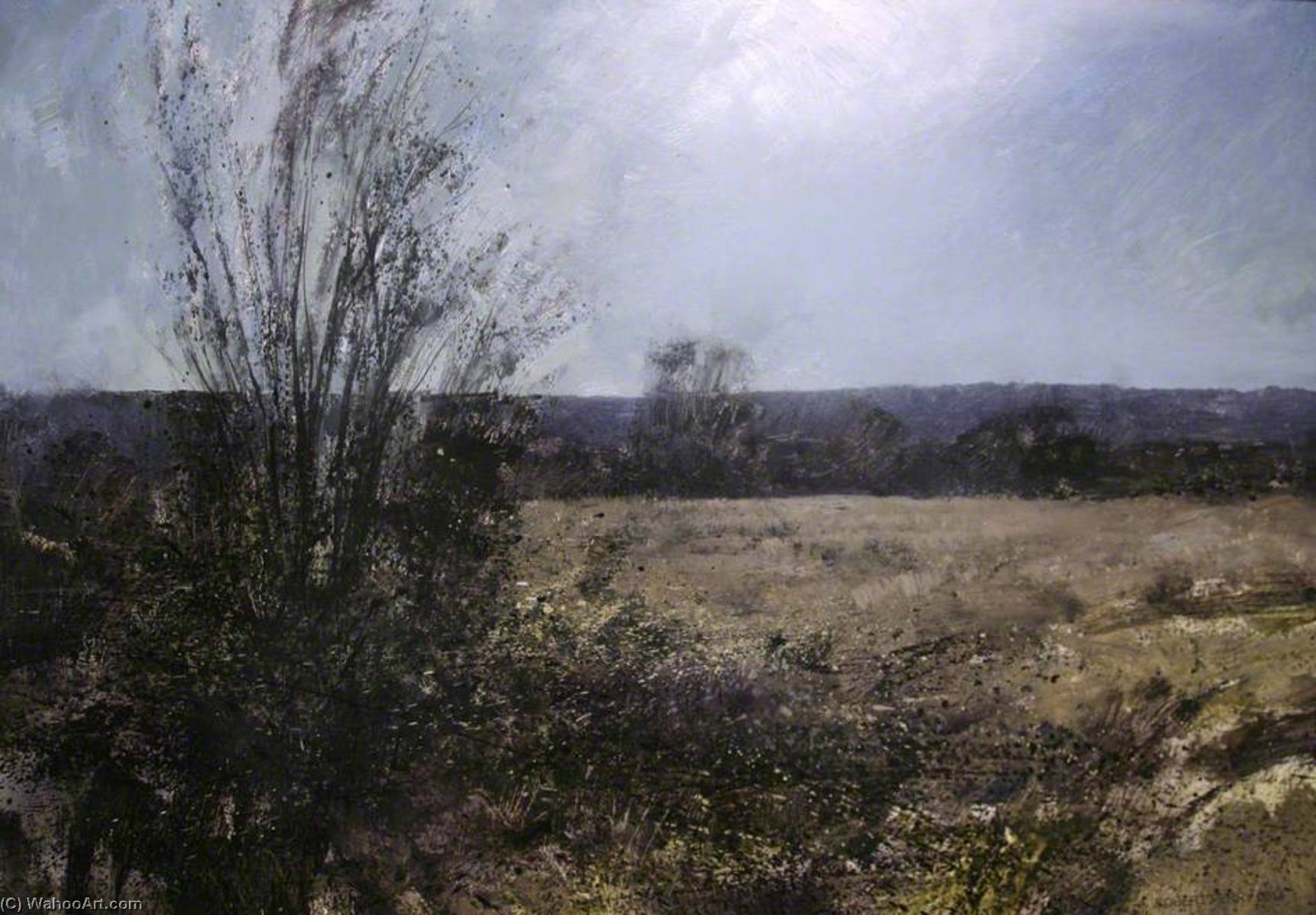 View Near Rifle Range Corner, Cannock Chase — Robert Perry