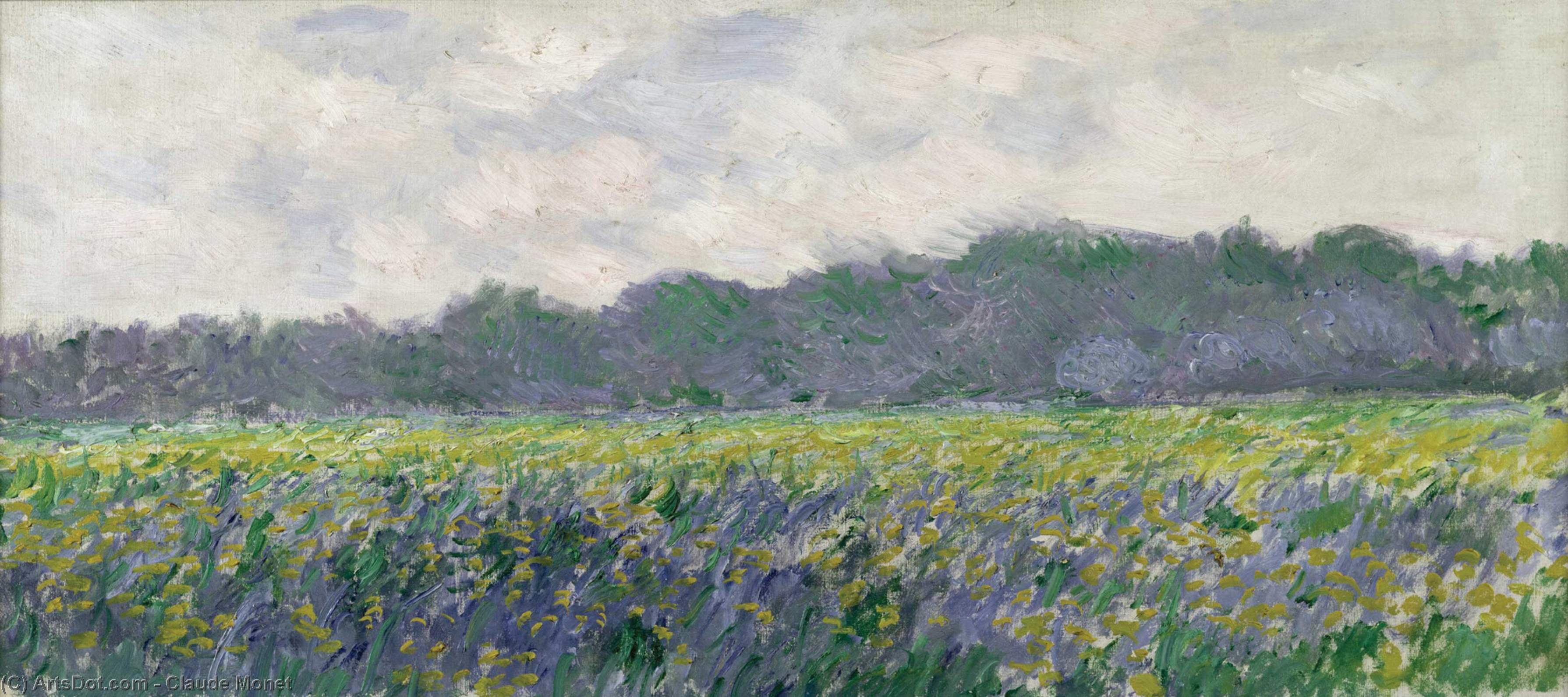 Field Of Yellow Irises At Giverny — Claude Monet