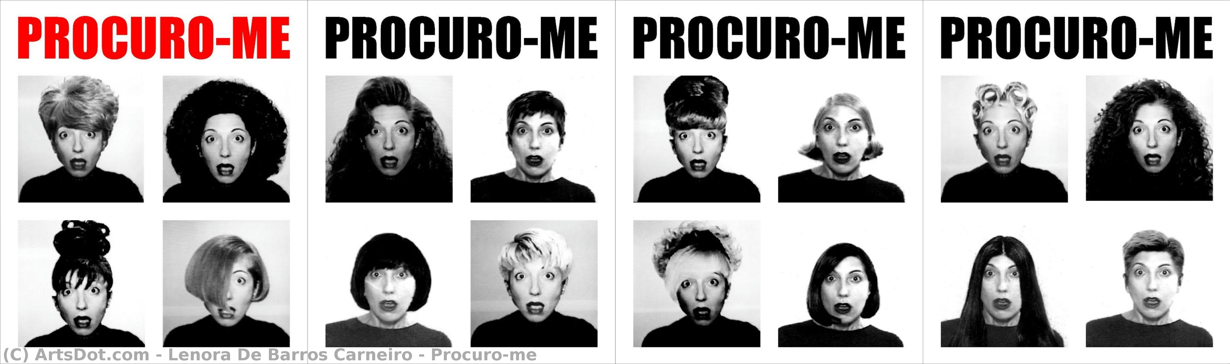 Procuro-me — Lenora De Barros Carneiro