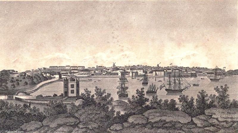 View Of Sydney Nsw Engraved Frontpiece — John William Lewin