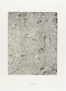 Nerves (nervures) From The Portfolio Territories (territoires) From Phenomena (les Phénomènes) — Jean Philippe Arthur Dubuffet