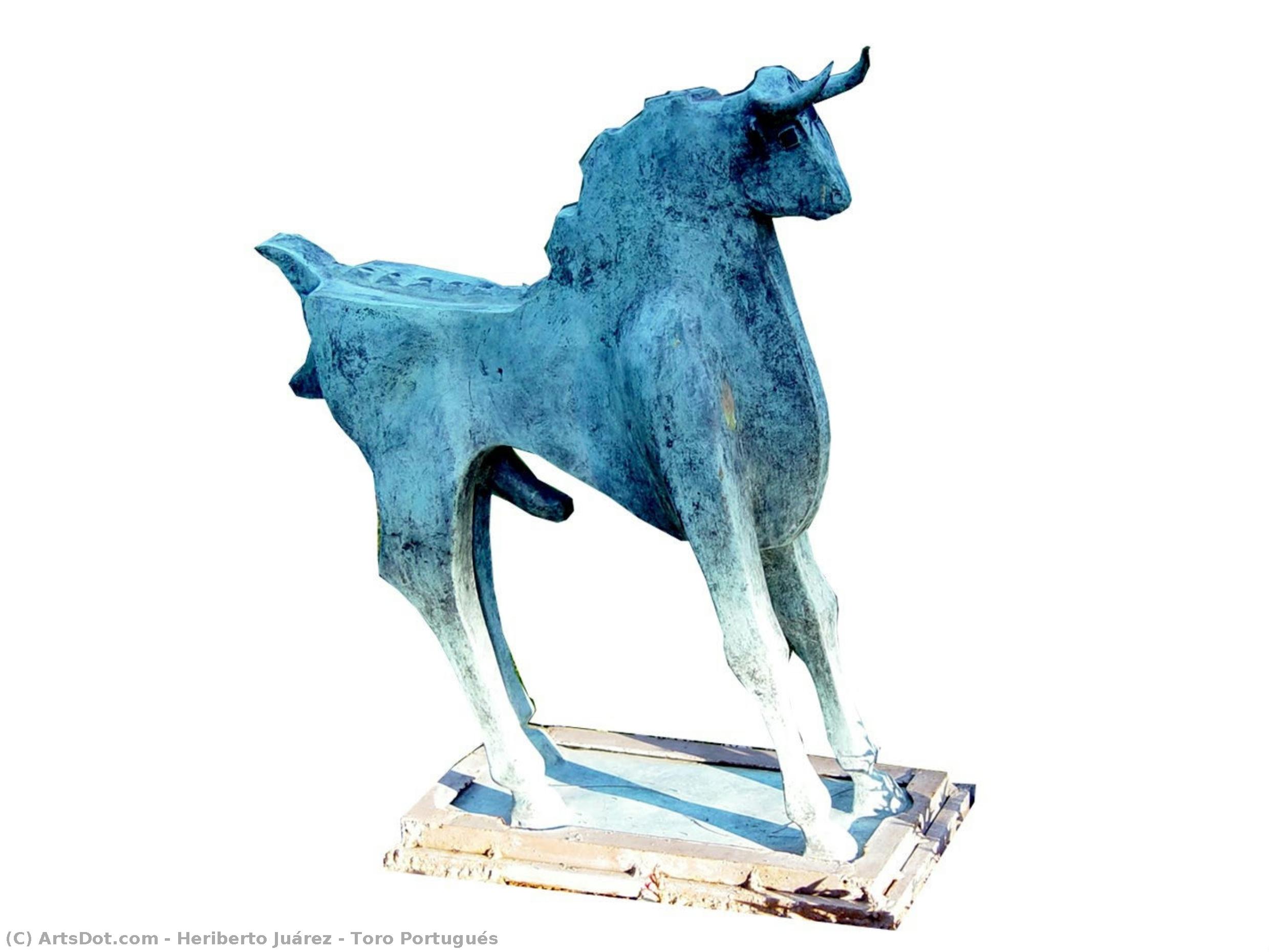 Toro Portugués — Heriberto Juárez