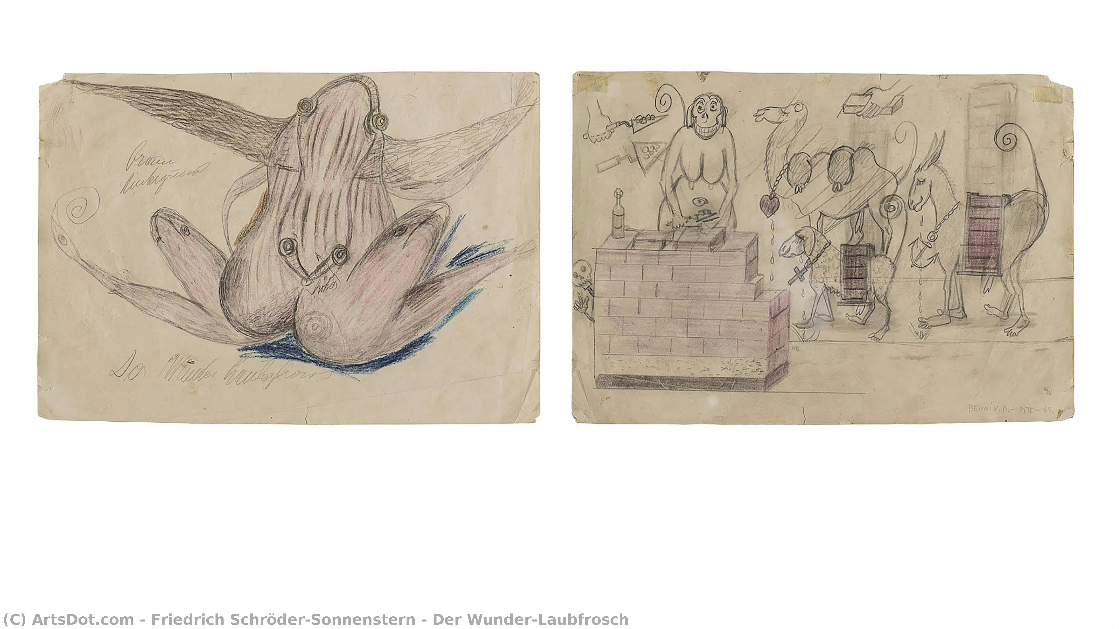 Der Wunder-laubfrosch — Friedrich Schröder-sonnenstern