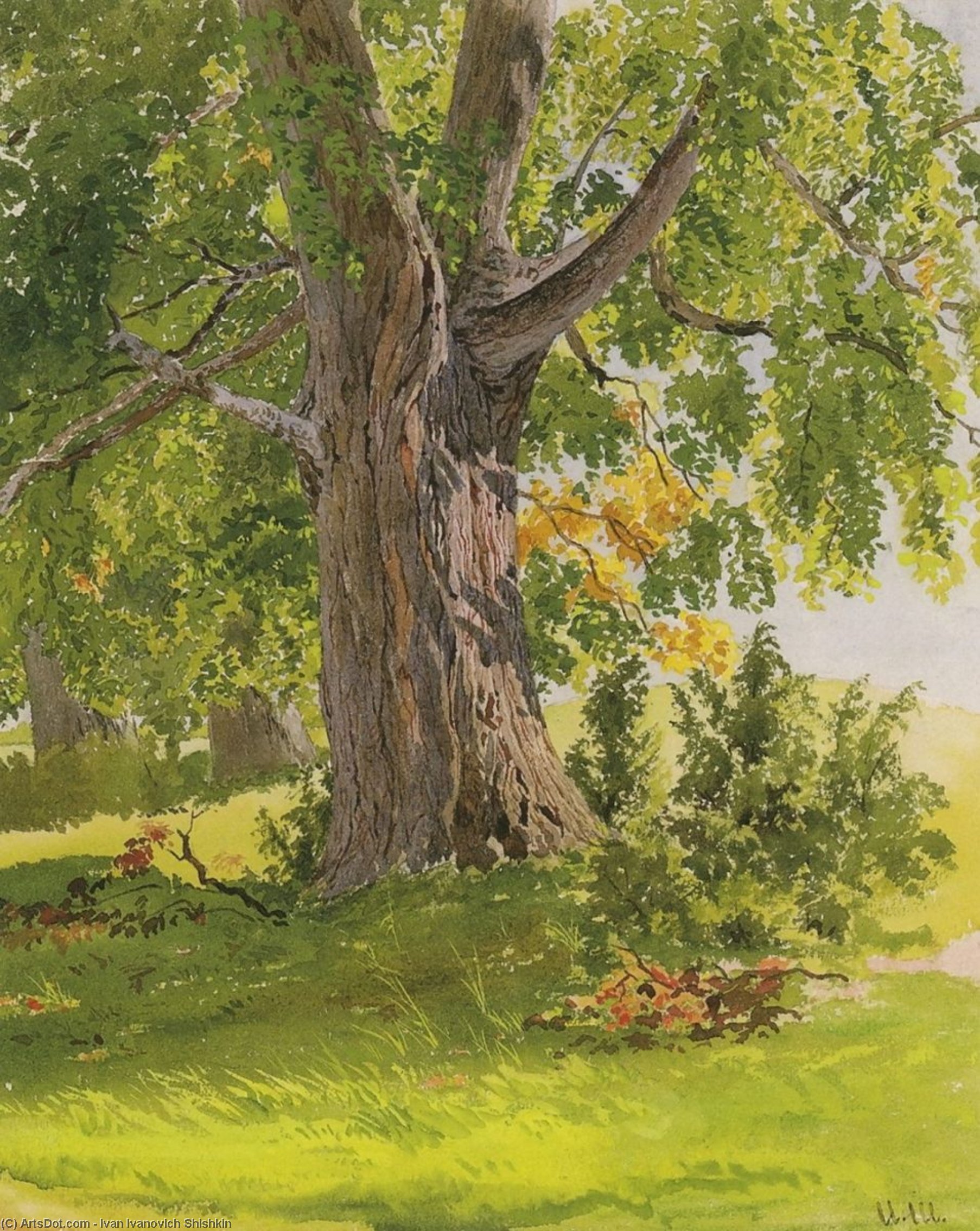 Sunny Oak — Ivan Ivanovich Shishkin