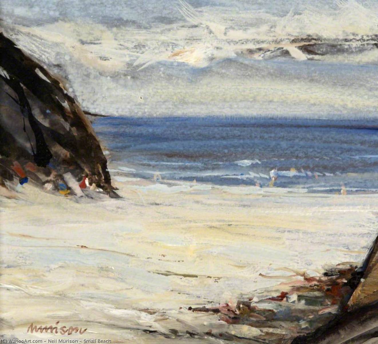 Small Beach — Neil Murison
