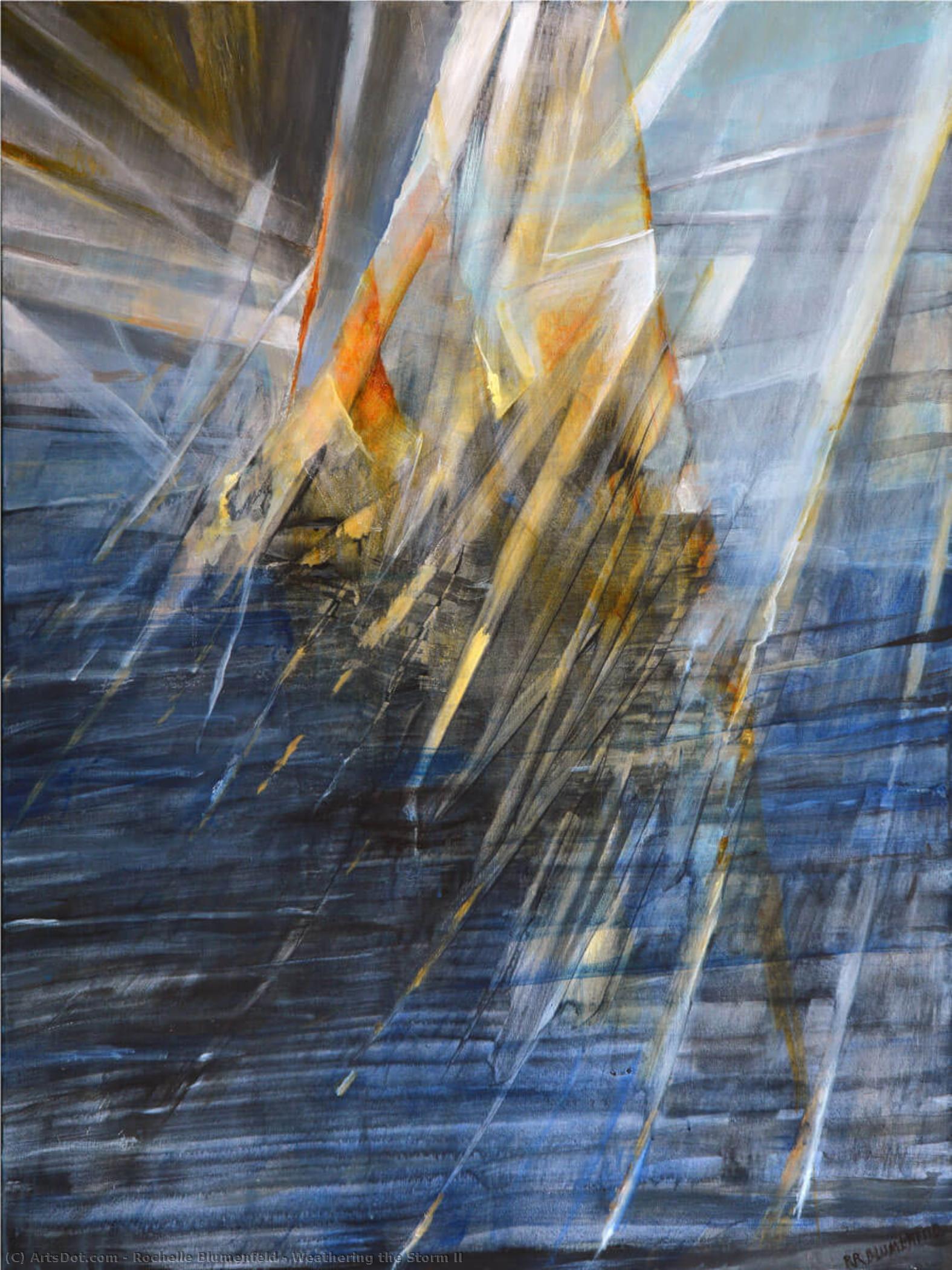 Weathering The Storm Ii — Rochelle Reznik Blumenfeld