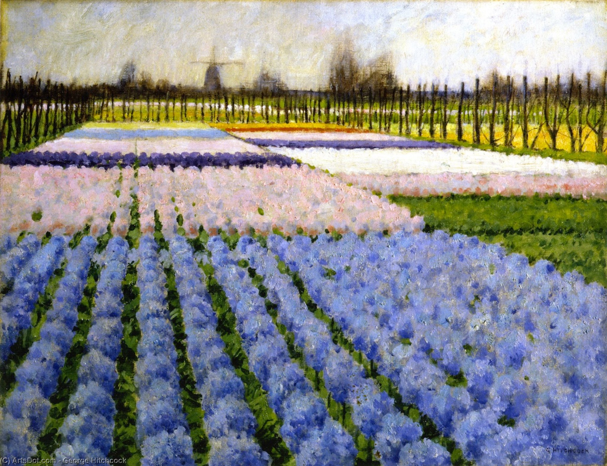 Holland, Hyacinth Garden — George Hitchcock