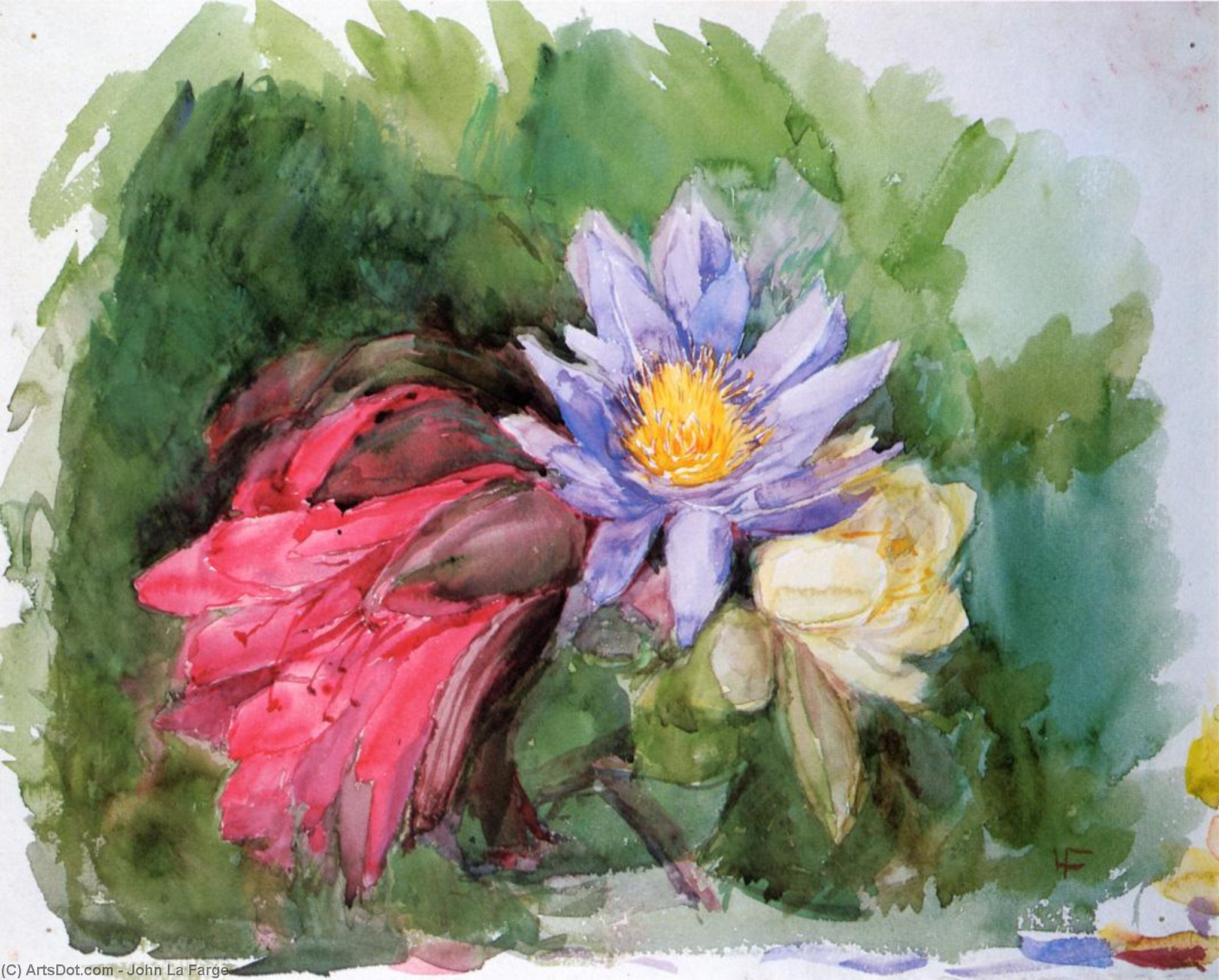 Water Lilies And Hibiscus — John La Farge