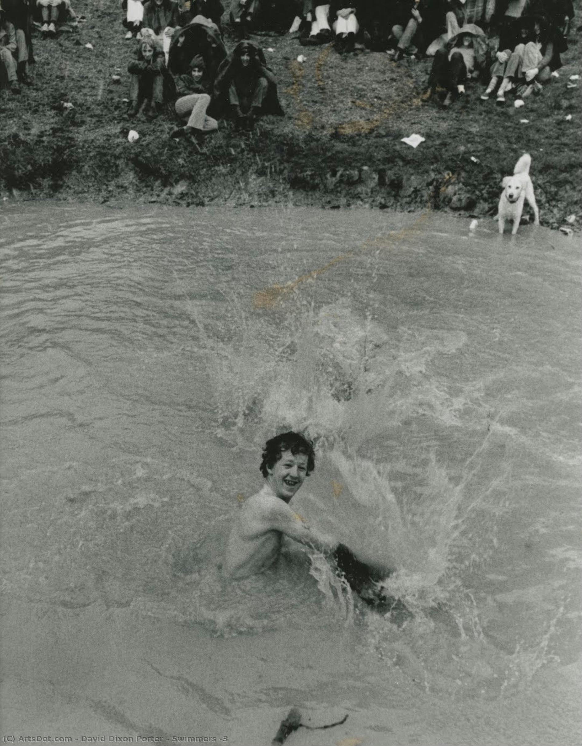 Swimmers #3 — David Dixon Porter