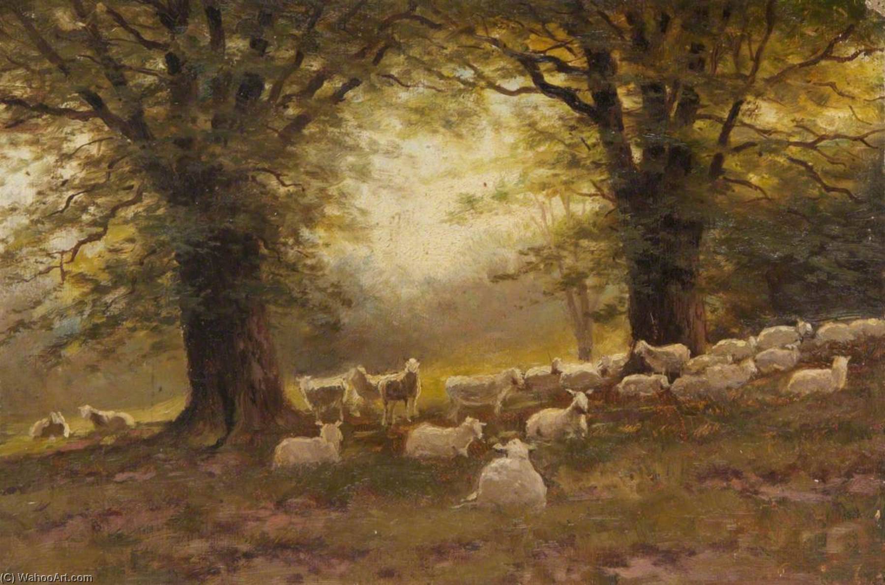 East Heath, Sheep Under Trees — Robert Finlay Mcintyre