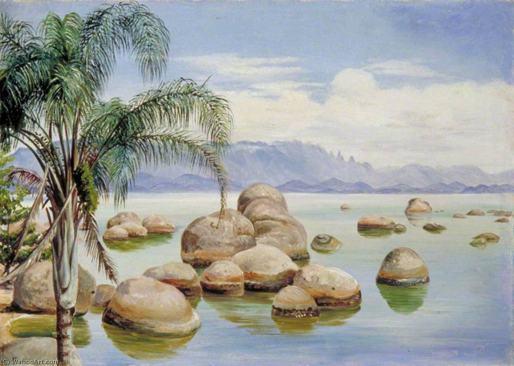 Palmen Und Felsbrocken In Der Bucht Von Rio, Brasilien — Marianne North