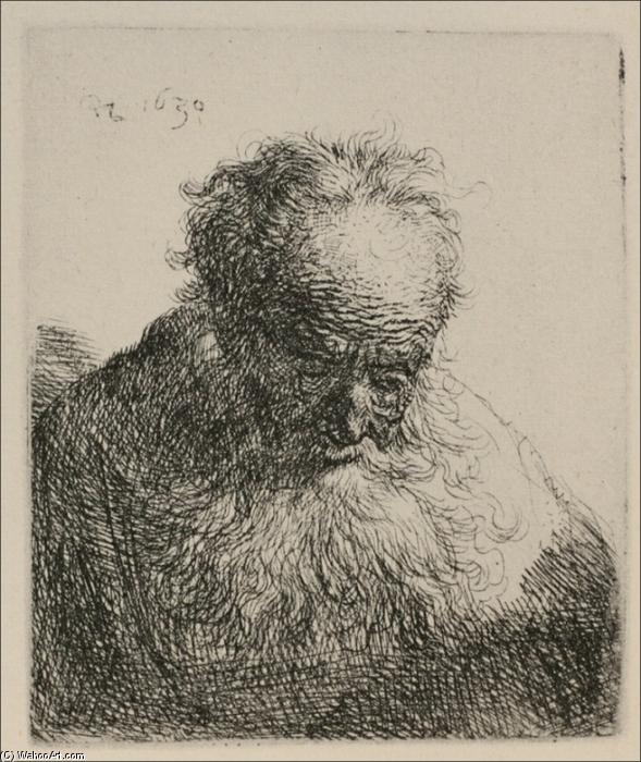 An Old Man With A Large Beard — Rembrandt Van Rijn