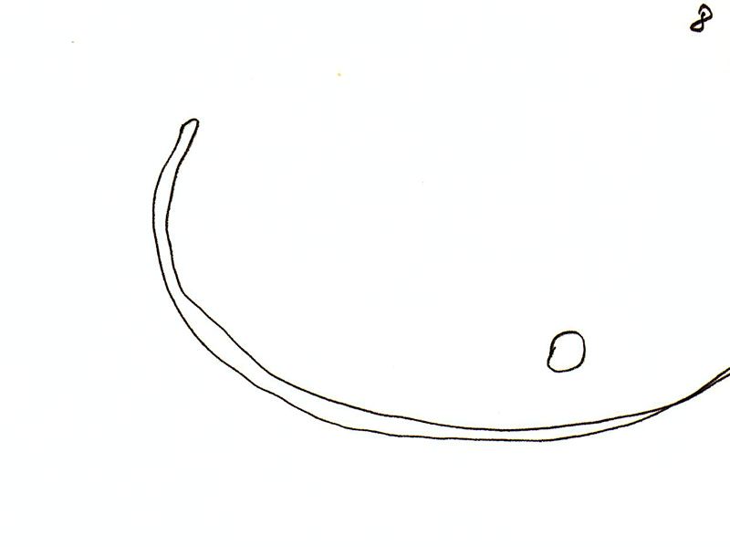 Apunts Per Al Llibre Lapidari 8 — Joan Miró