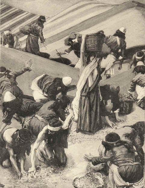 The Gathering Of The Manna — Jacques Joseph Tissot