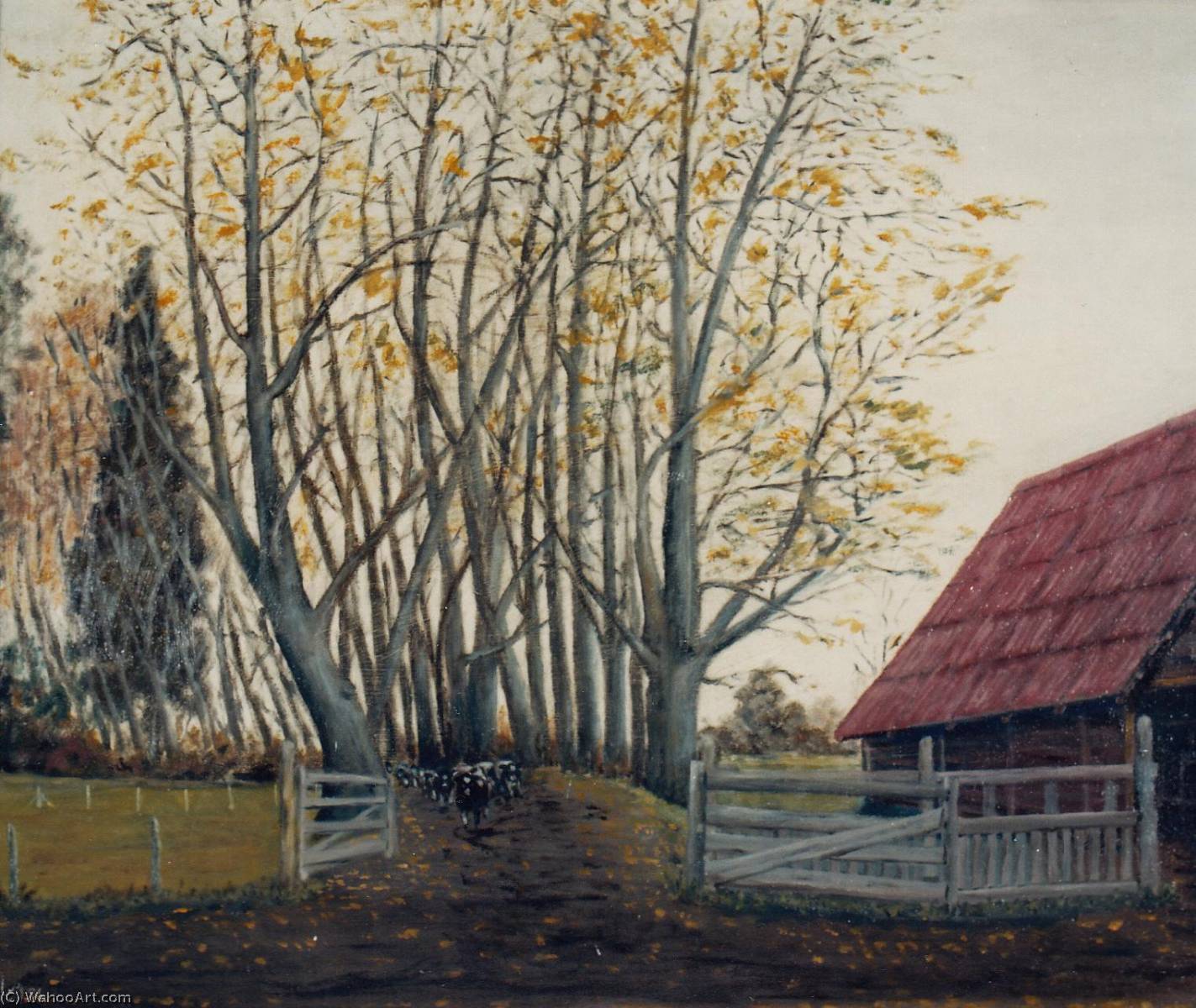 Untitled (aqre6g) — Eugenio Cruz Vargas