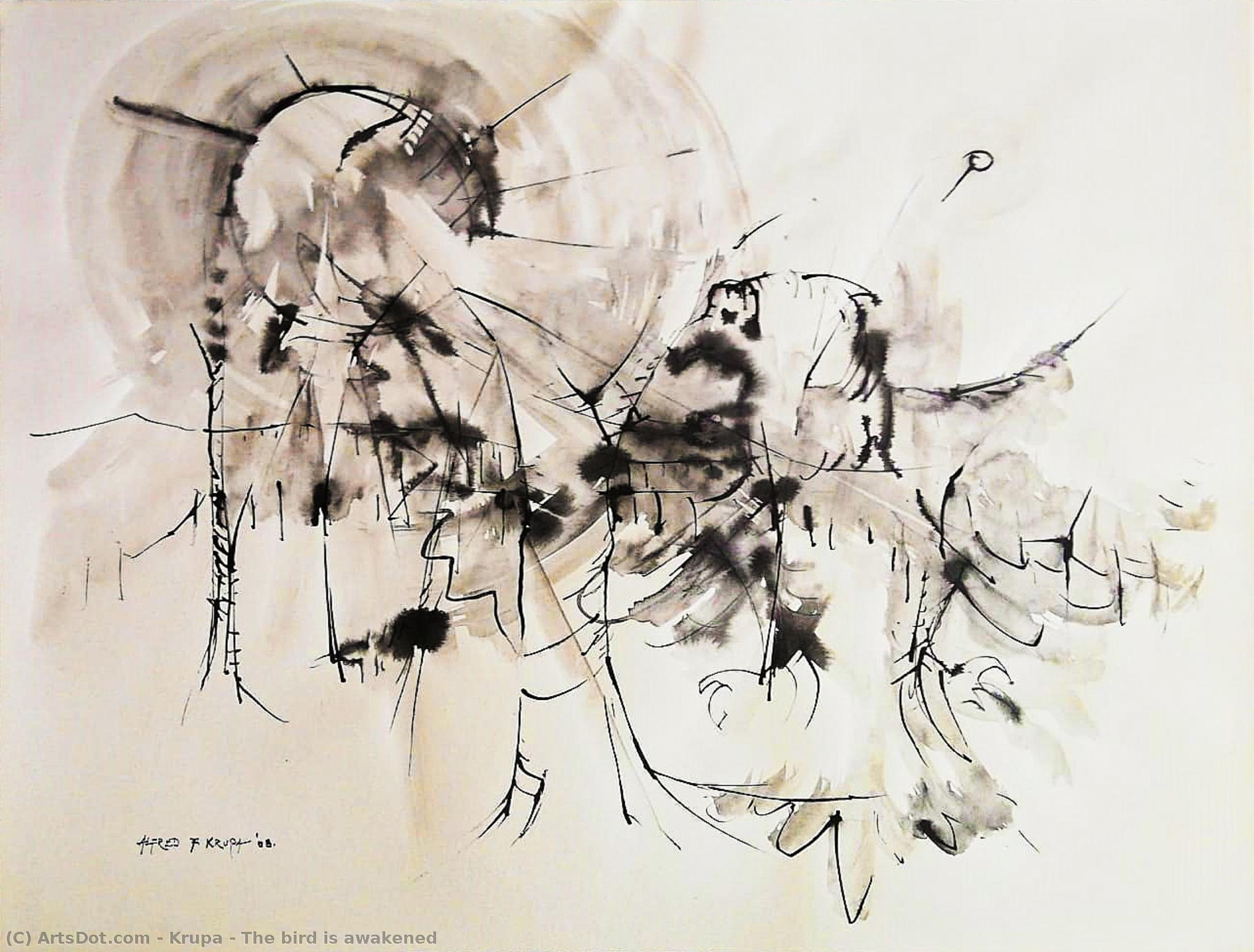 The Bird Is Awakened — Alfred Freddy Krupa