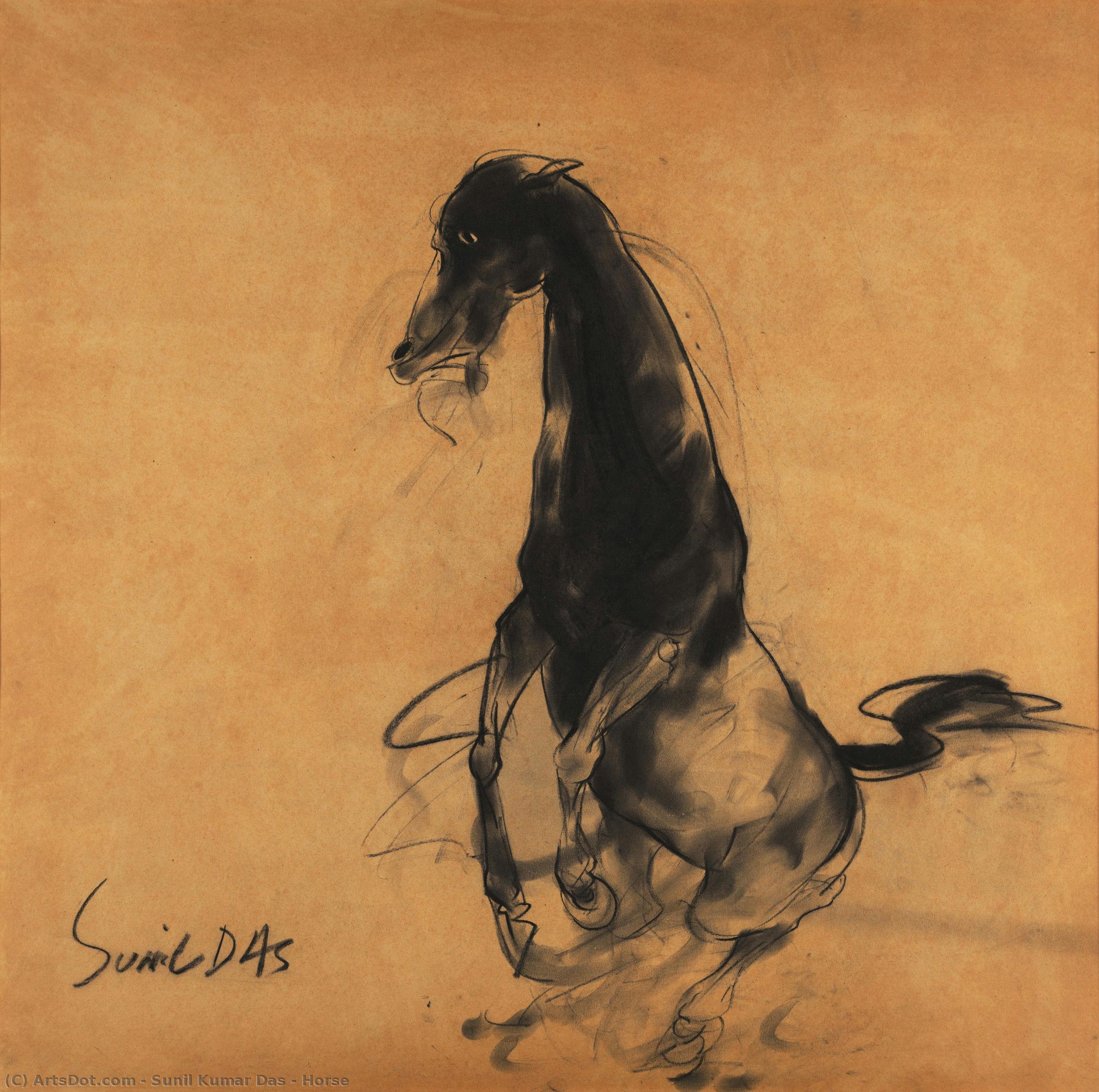 Horse — Sunil Kumar Das