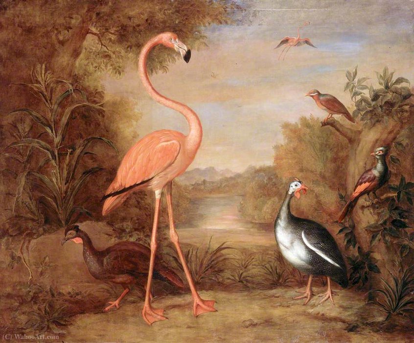Various Types Of Birds (with A Flamingo) — Tobias Stranover