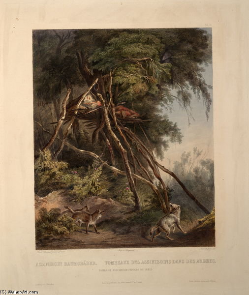 Tombs Of Assiniboin Indians On Trees — Karl Bodmer