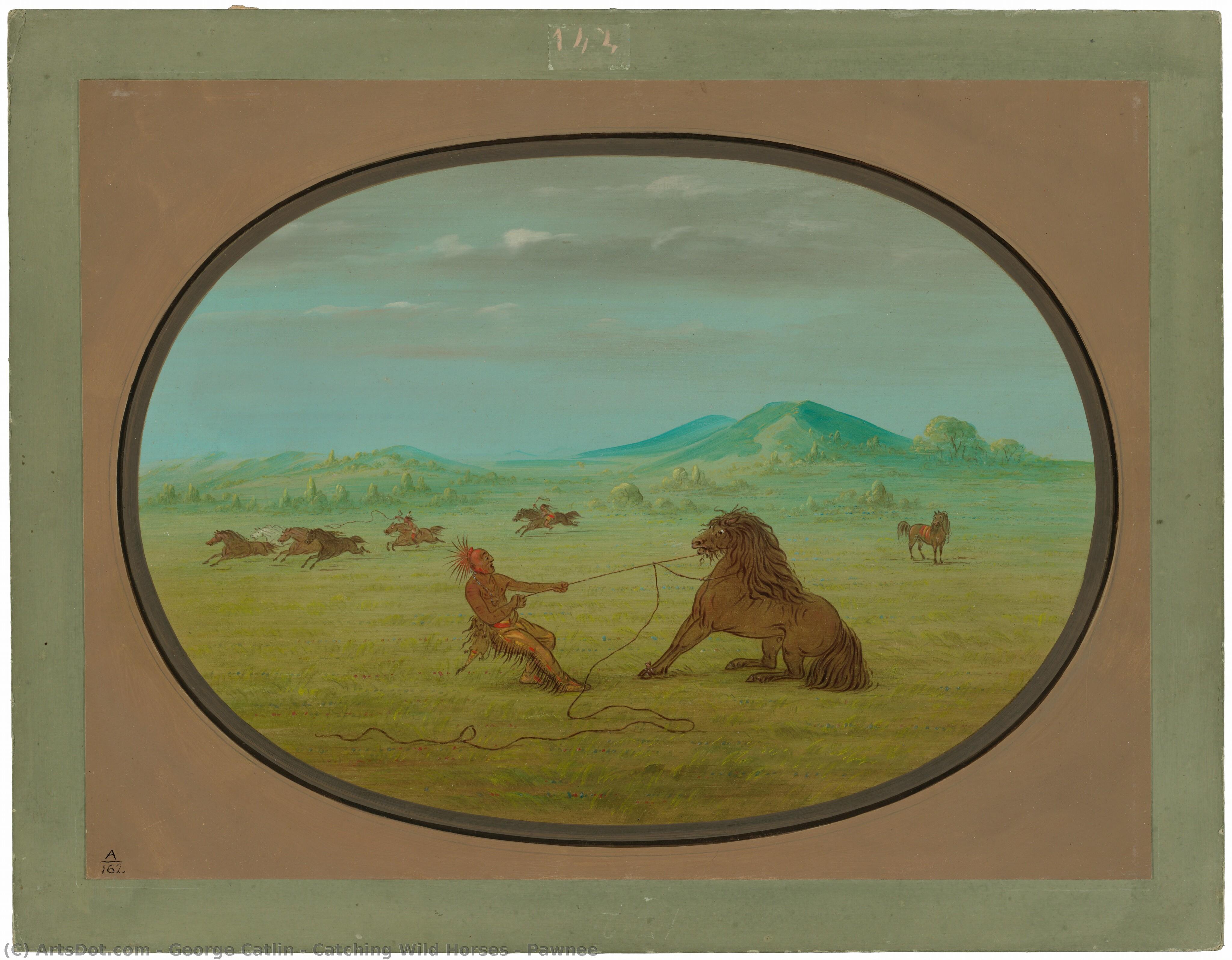 Catching Wild Horses - Pawnee — George Catlin