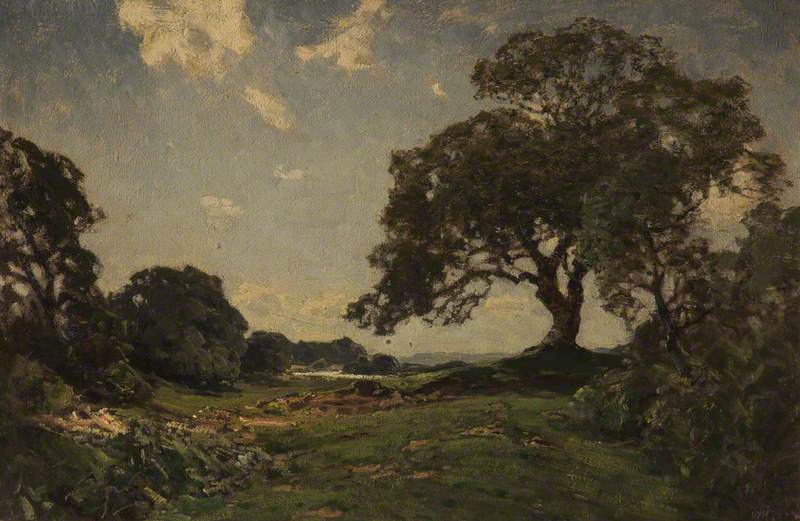 Clear Morning — José Weiss