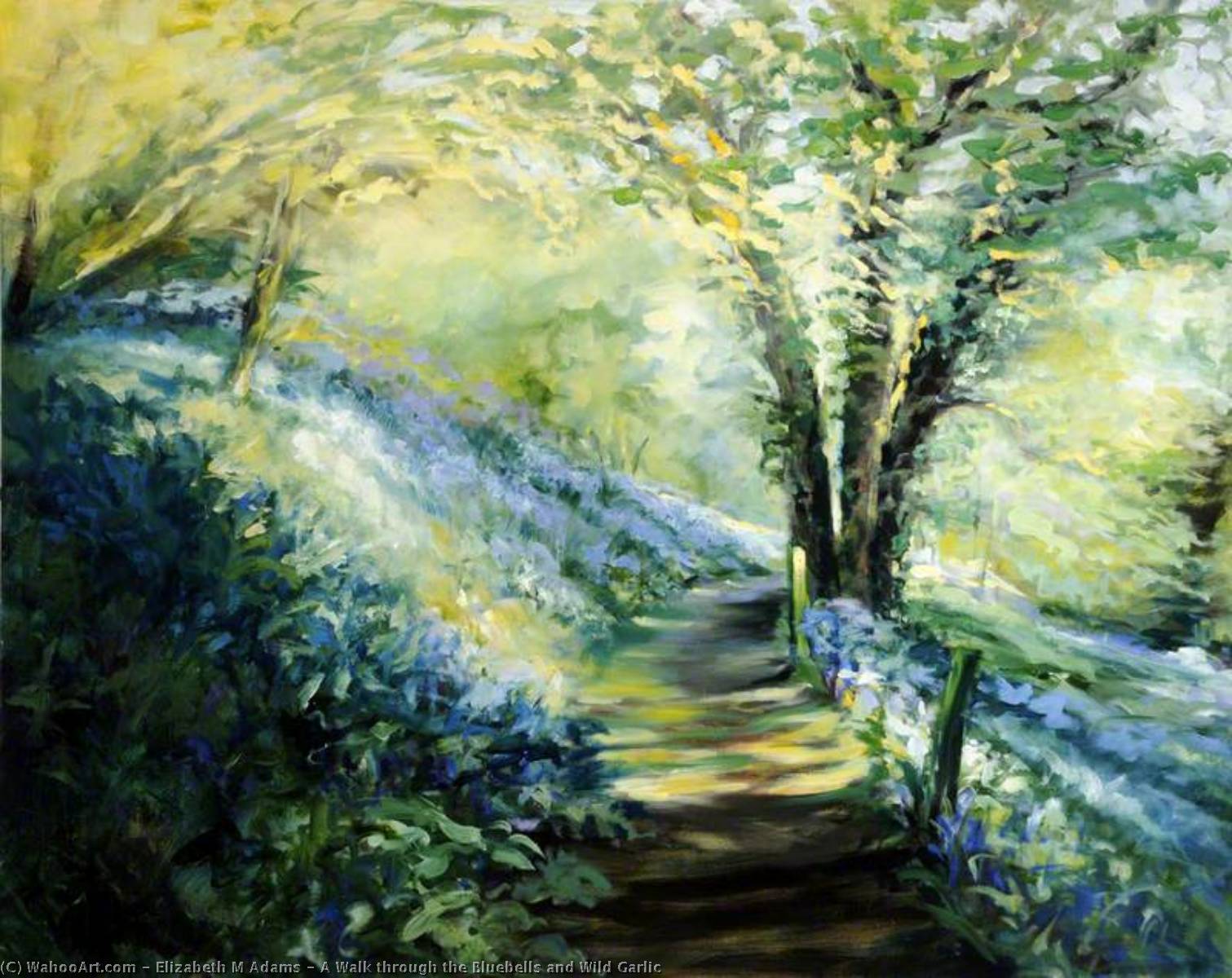 A Walk Through The Bluebells And Wild Garlic — Elizabeth M Adams