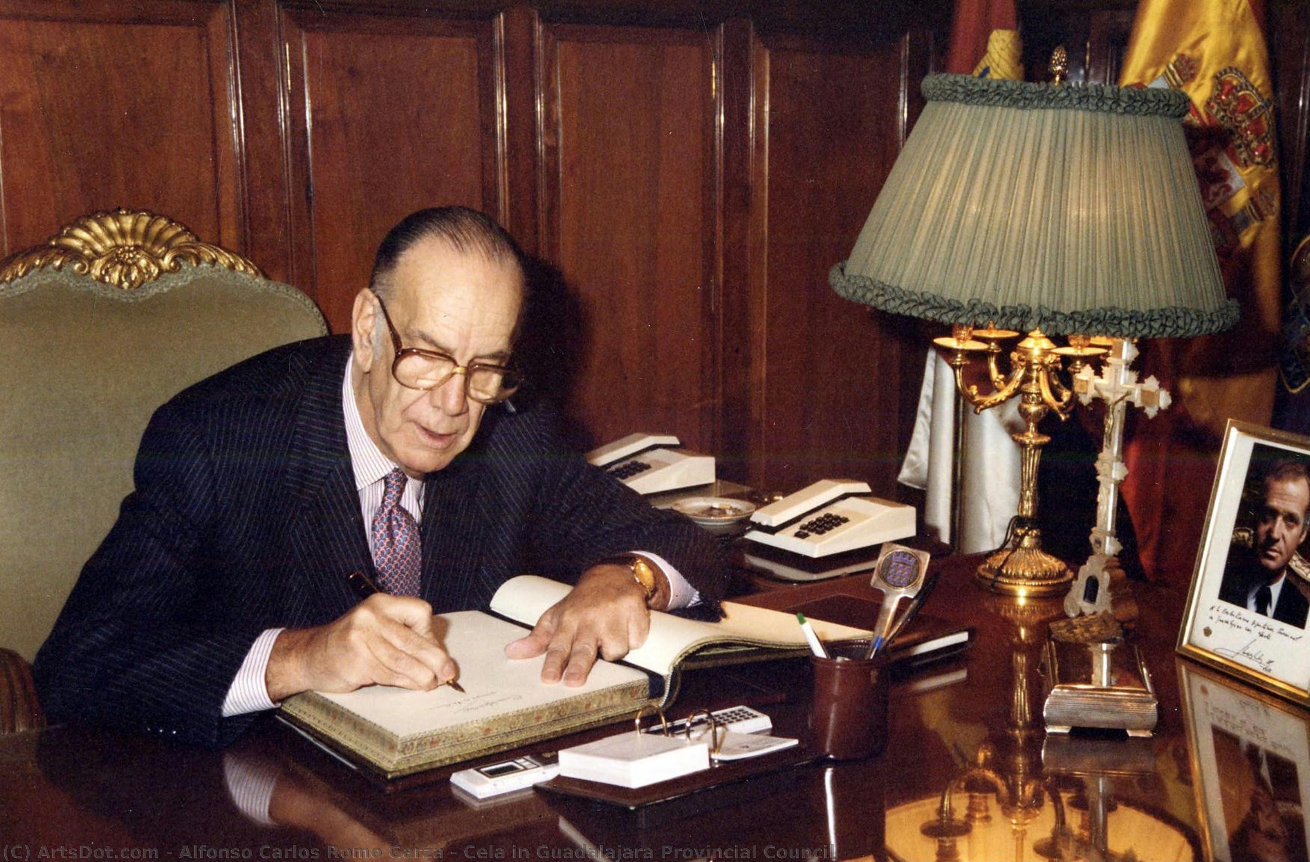 Cela In Guadalajara Provincial Council — Alfonso Carlos Romo Garza