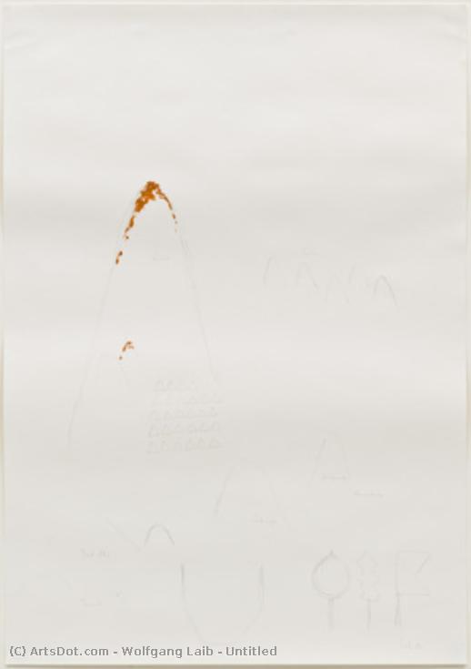 Untitled — Wolfgang Laib