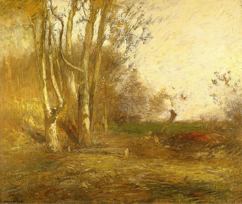 Woods Clearing — John Francis Murphy