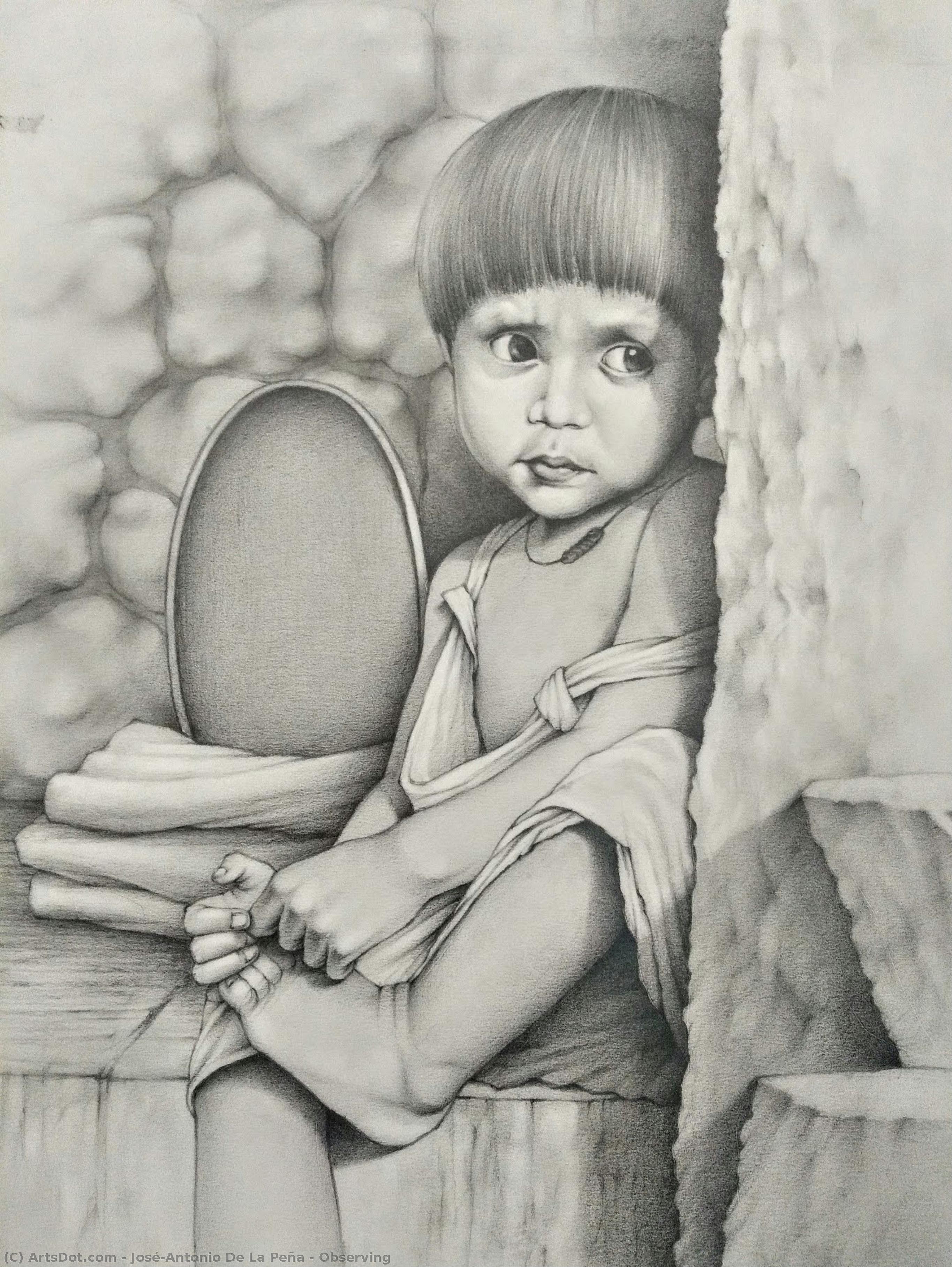 Observing — José-antonio De La Peña