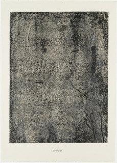 Profusion From The Portfolio Geography (géographie) From Phenomena (les Phénomènes) — Jean Philippe Arthur Dubuffet