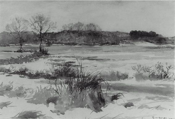 Meadows In Winter — Frank Weston Benson