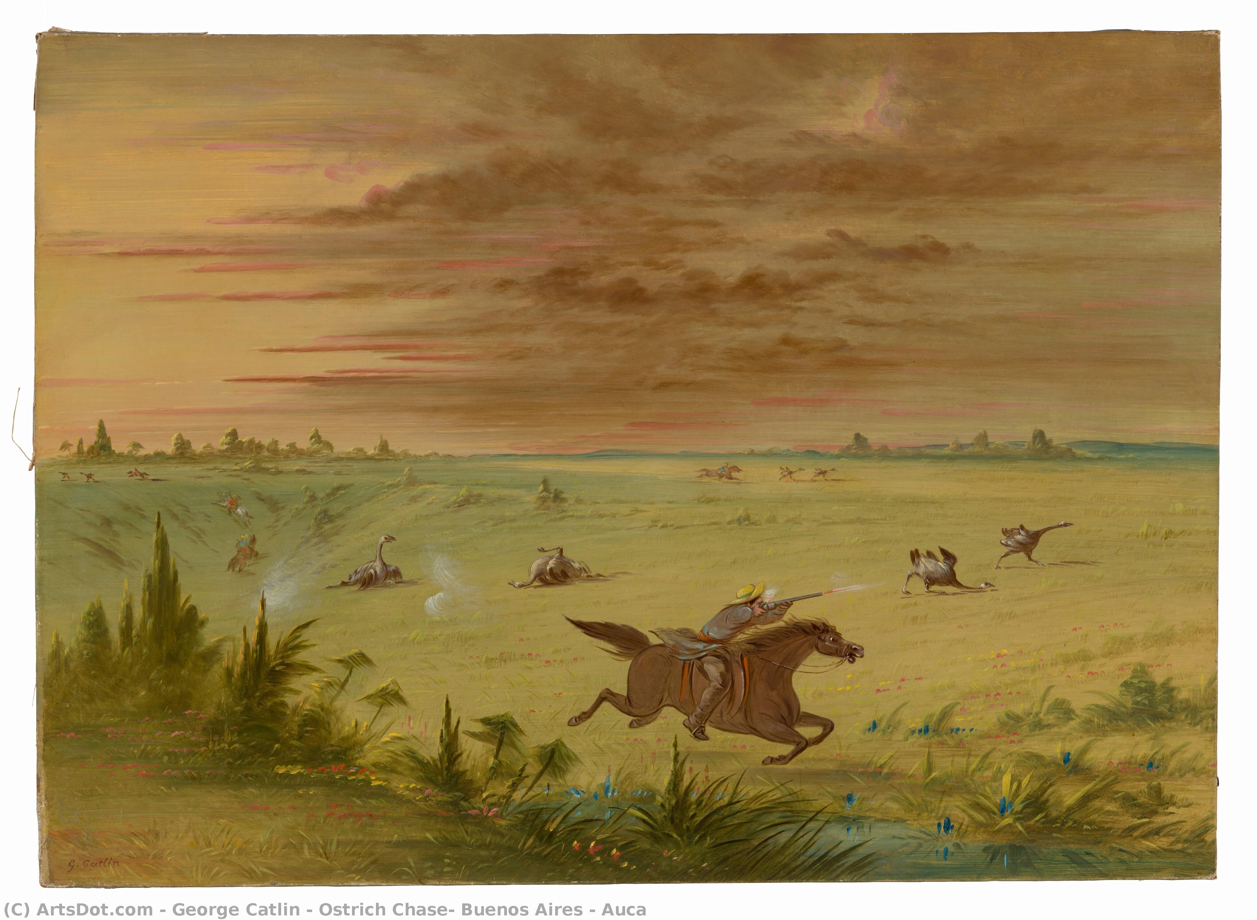 Ostrich Chase, Buenos Aires - Auca — George Catlin