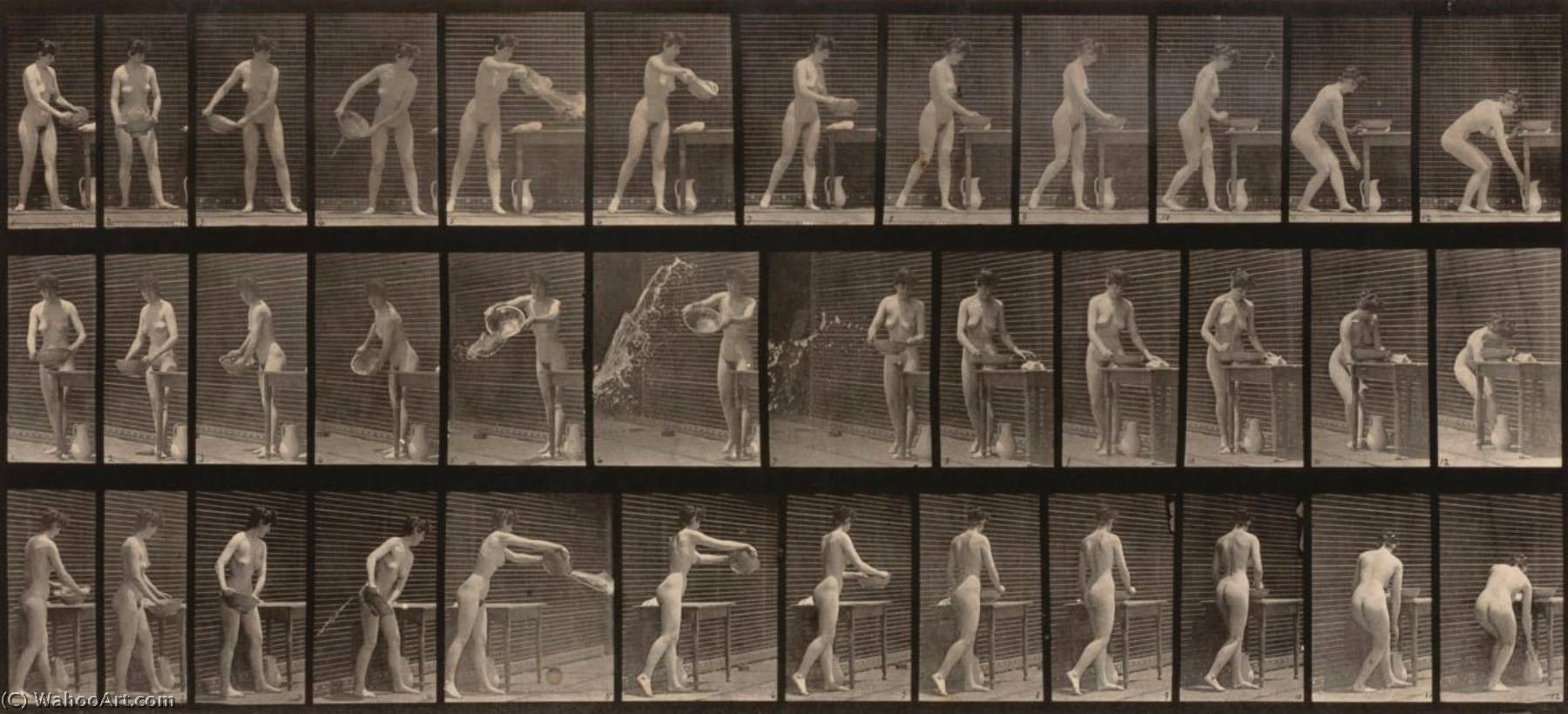 Woman Emptying A Basin Of Water, From The Book Animal Locomotion — Eadweard J Muybridge