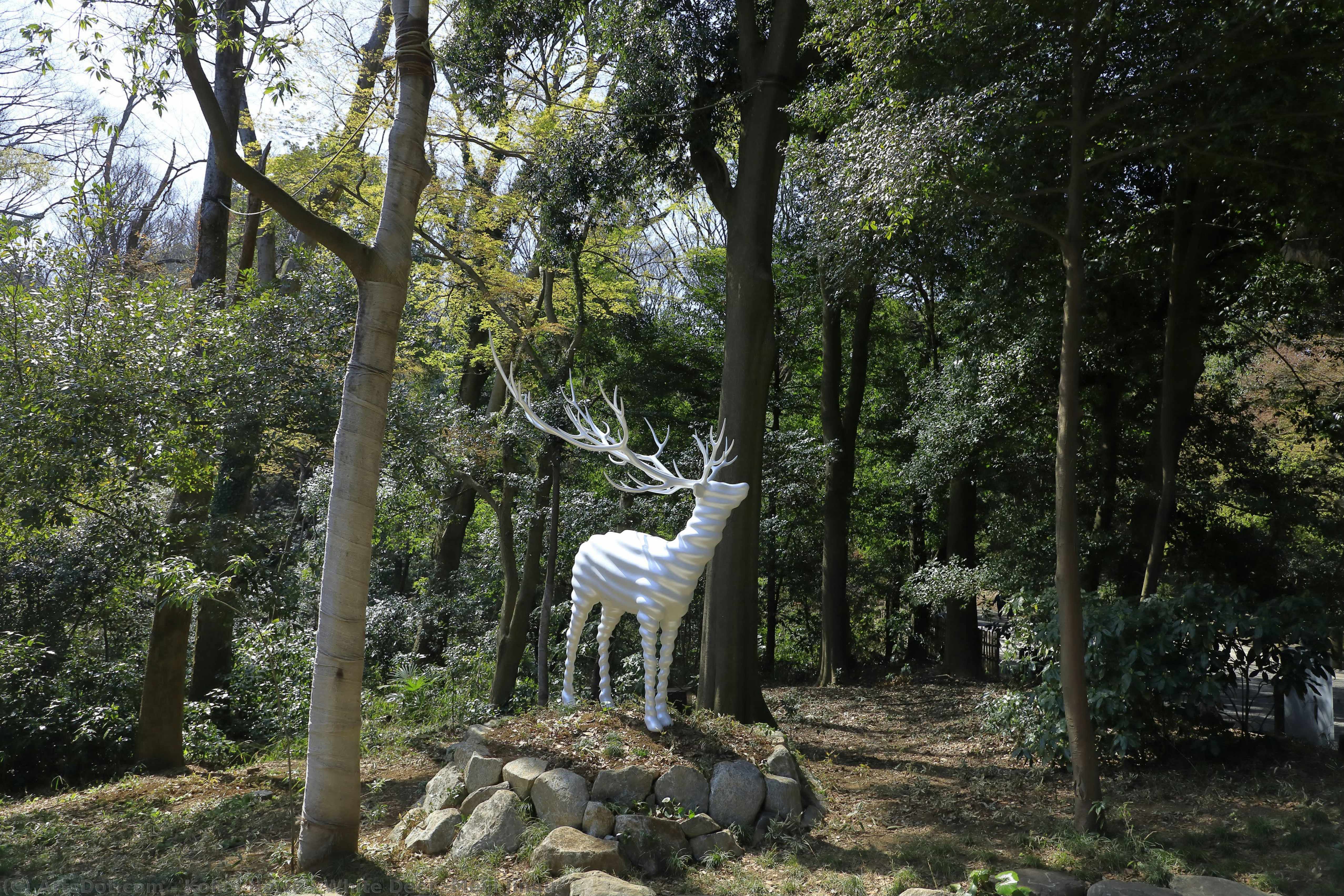 White Deer (meiji Jingu) — Kohei Nawa