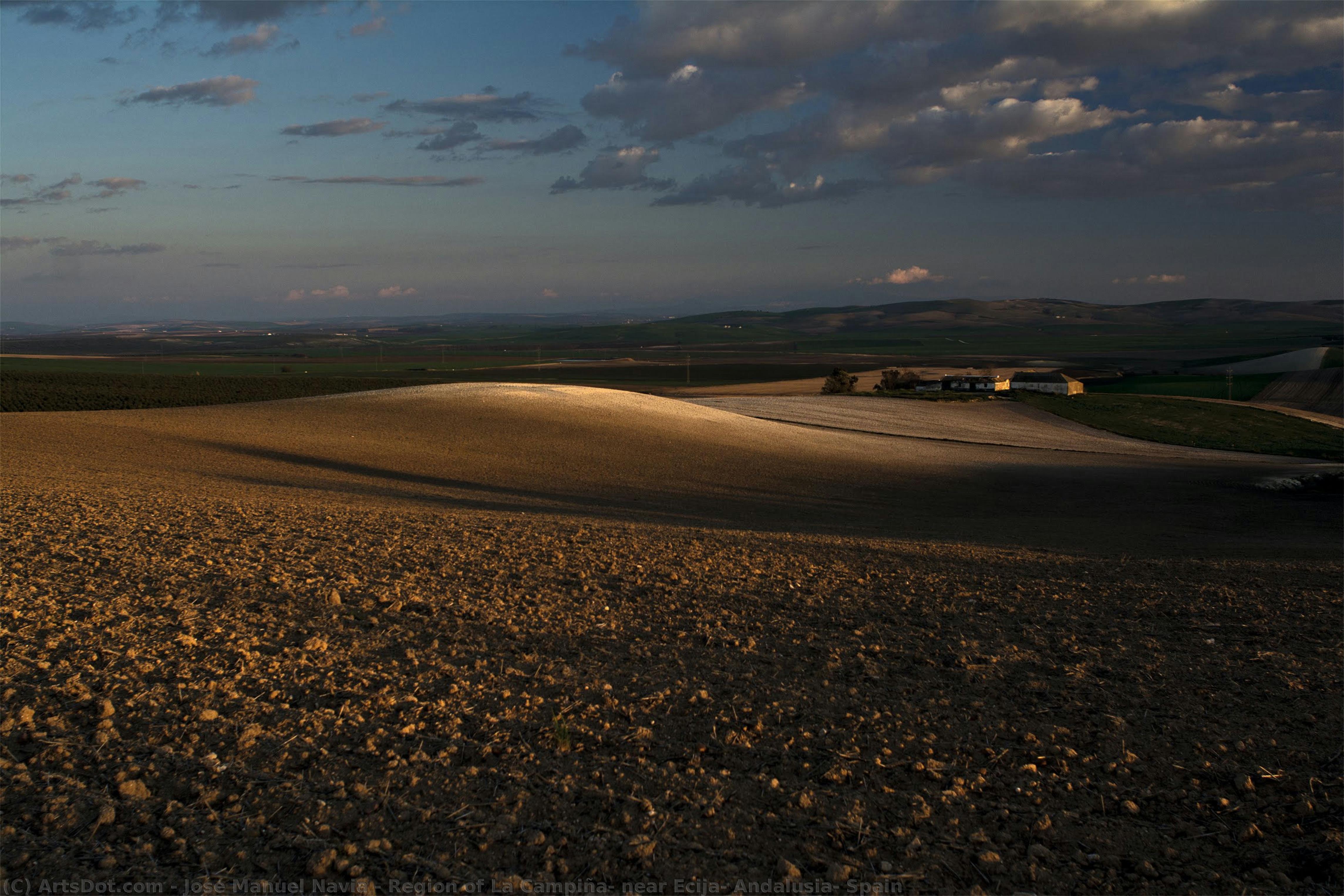 Region Of La Campiña, Near Ecija, Andalusia, Spain — José Manuel Navia